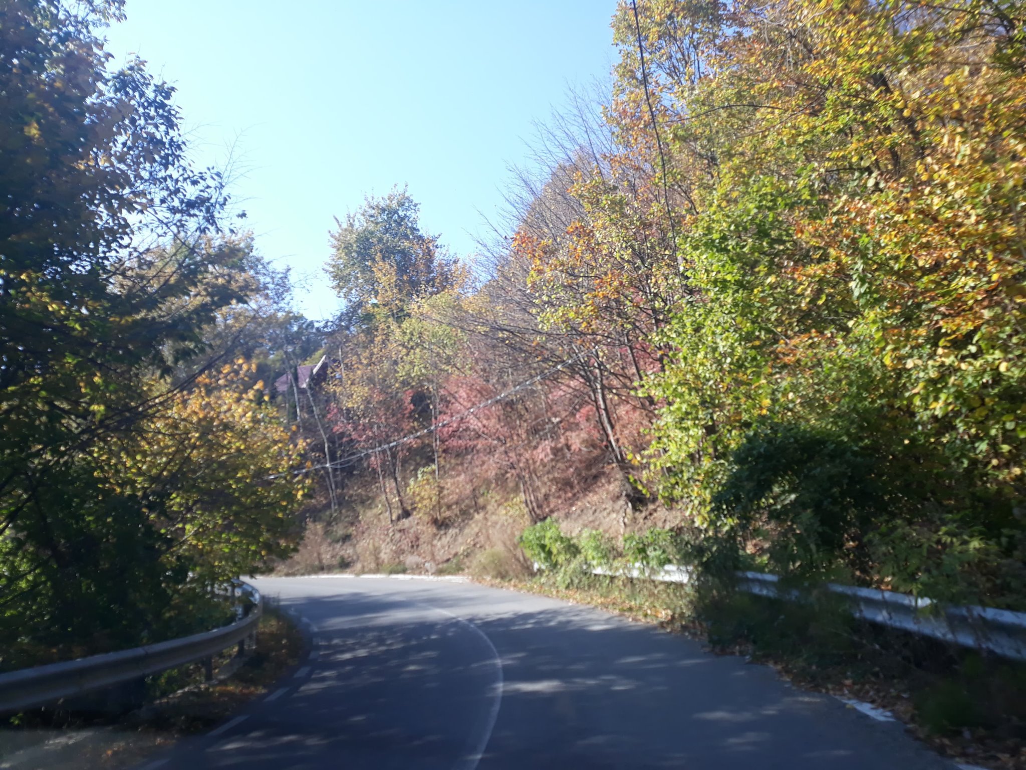 comuna Alexandru cel Bun